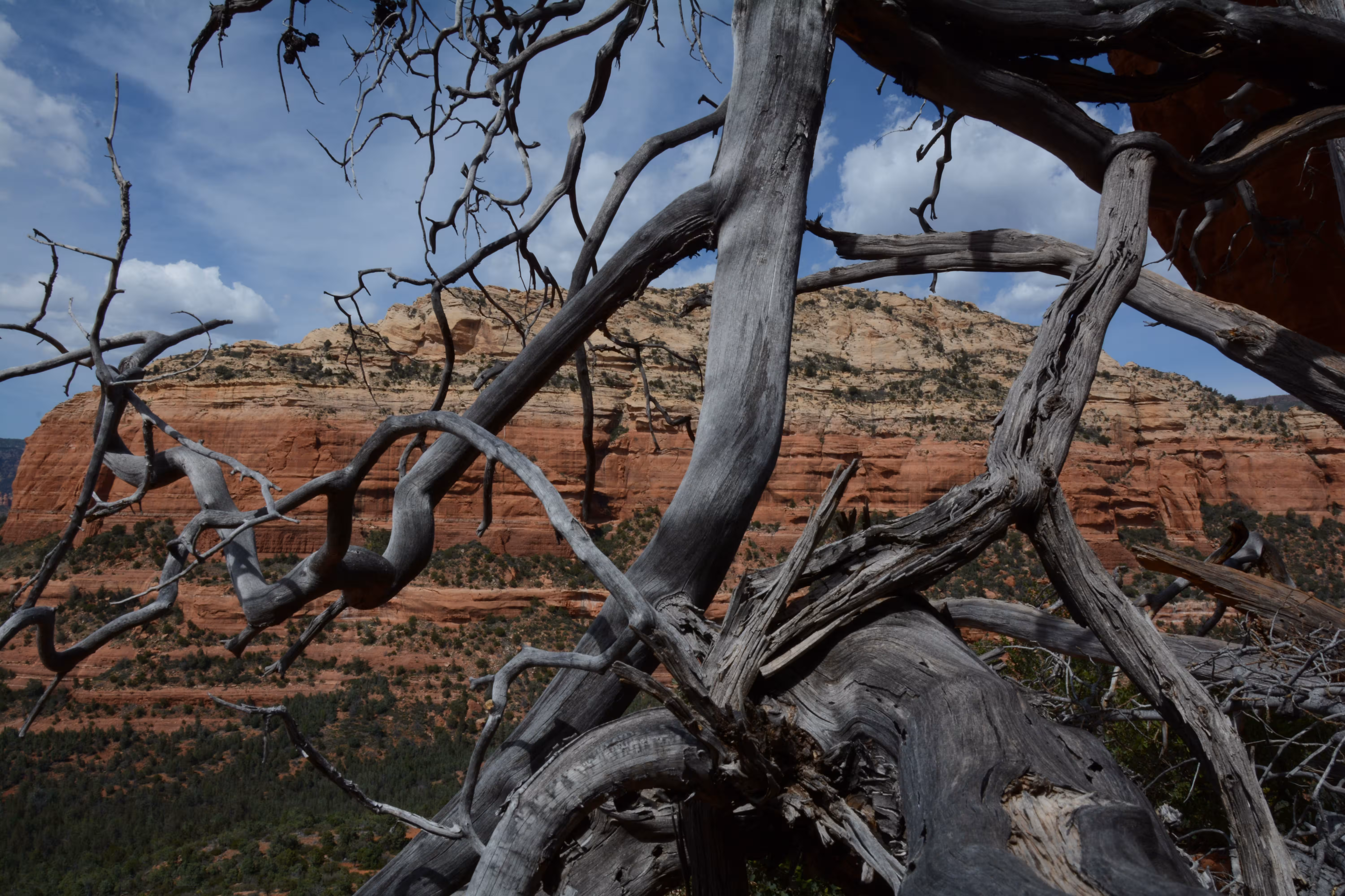Photography in Sedona, AZ